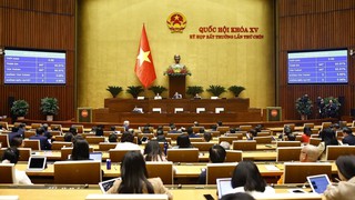 Nghị quyết chỉ định Trưởng Đoàn, Phó Trưởng Đoàn đại biểu Quốc hội