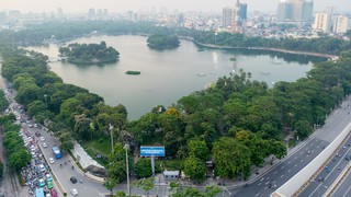 Cây xanh Hà Nội: Kiến tạo bản sắc đô thị từ bóng mát và ký ức
