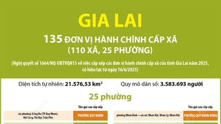 Thông tin chi tiết sắp xếp các đơn vị hành chính cấp xã của tỉnh Gia Lai: 25 phường