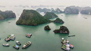 Tạm dừng toàn bộ tour du thuyền Hạ Long để tránh bão