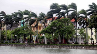 Bão số 3: Hưng Yên có mưa to, gió lớn