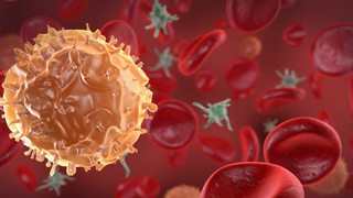 Nhà khoa học tạo ra “lồng nano” tấn công tế bào ung thư từ bên trong