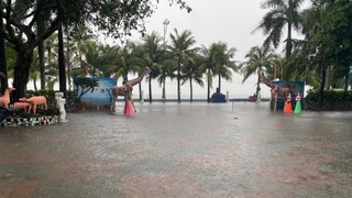 Dự báo thời tiết ngày 30/8: Nhiều khu vực có mưa dông, từ Thanh Hóa - Huế mưa to