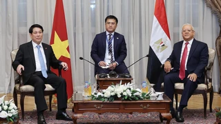 Chủ tịch nước Lương Cường hội kiến Chủ tịch Hạ viện, Thượng Viện Ai Cập