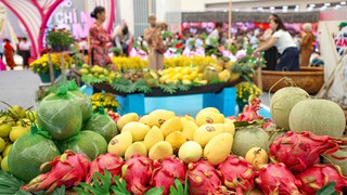 Du lịch phương Nam thu nhỏ qua các gian trưng bày đặc sắc tại Triển lãm thành tựu Đất nước