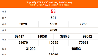 XSLA 13/9 - Kết quả xổ số Long An hôm nay 13/9/2025 - Trực tiếp XSLA ngày 13 tháng 9