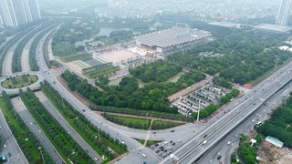 Hà Nội di chuyển, chặt hạ cây xanh phục vụ dự án giao thông trọng điểm