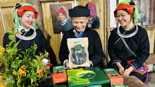 "Báu vật" chè Shan Tuyết chân dãy Tây Côn Lĩnh