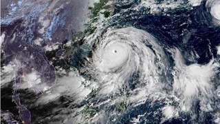 Chủ động ứng phó bão RAGASA, bảo đảm an toàn cho người và phương tiện tham gia giao thông