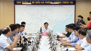 Ứng phó bão số 9: Bảy tỉnh, thành phố triển khai việc đảm bảo an toàn hệ thống đê điều