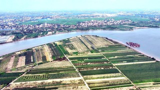 Ứng phó bão số 9: Cảnh báo tránh chủ quan, bị động trong phòng chống bão RAGASA