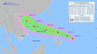Các tỉnh từ Quảng Ninh đến An Giang chủ động ứng phó với bão BUALOI gần Biển Đông