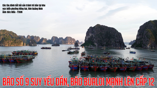 Bão số 9 suy yếu dần, bão BUALOI mạnh lên cấp 12