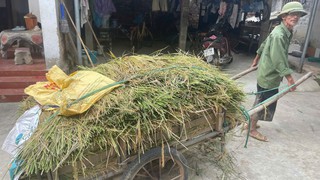 Vùng "rốn lũ", trũng thấp Hà Nội chủ động mọi tình huống bão số 9