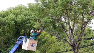 Đà Nẵng khẩn trương ứng phó trước diễn biến phức tạp của bão số 10