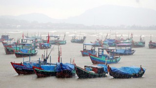 Thứ trưởng Nguyễn Hoàng Hiệp: Bão số 10 là cơn bão mạnh, chưa có yếu tố làm suy giảm cường độ