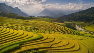 Du lịch và Chuyển đổi bền vững: Hành trình Xanh