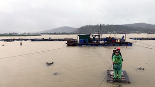 Ứng phó bão số 10: Nghệ An di dời hàng trăm hộ dân