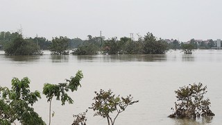 Bão số 10: Bắc Ninh phát lệnh báo động số I trên sông Lục Nam