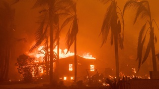 Chính phủ Mỹ kiện công ty điện lực vì vụ cháy rừng nghiêm trọng ở California