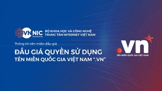 Đấu giá tên miền - cơ hội khai thác hiệu quả tài nguyên Internet quốc gia