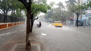 Dự báo thời tiết ngày 3/4: Cảnh báo mưa dông, gió giật mạnh ở Bắc Bộ