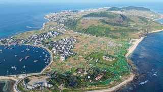 Quảng Ngãi: Ứng dụng công nghệ cao nâng tầm giá trị tỏi Lý Sơn