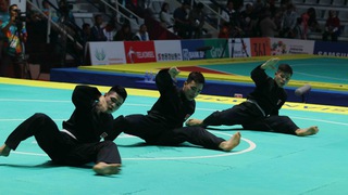 Silat Việt Nam nhận hai HCB biểu diễn