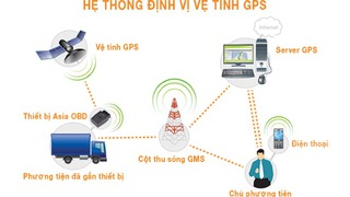 Khôn và dại