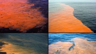 Vén màn bí mật ‘thủy triều máu’ trên biển Baltic
