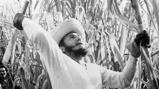 Fidel Castro - Nghề nghiệp ngôn từ: 'Học cách làm việc cũng quan trọng như học cách nghỉ ngơi'