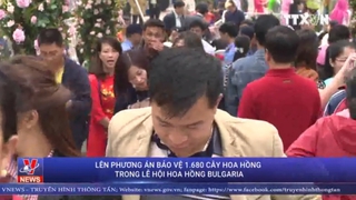 VIDEO: Phương án bảo vệ 1.680 cây hoa hồng trong lễ hội hoa hồng Bulgaria