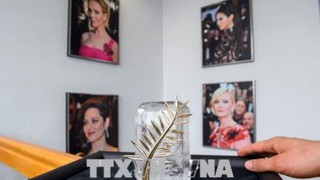 Bí ẩn Cành cọ bằng vàng 24 carat của LHP Cannes