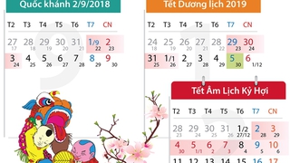 Quốc khánh 2/9 và Tết Dương lịch, Âm lịch được nghỉ 16 ngày