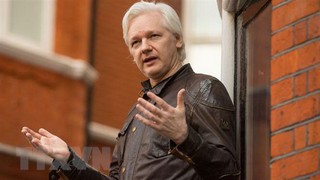 Nhà sáng lập WikiLeaks nêu điều kiện ra đầu thú