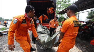 Rơi máy bay tại Indonesia: Lion Air nối lại chiến dịch tìm kiếm