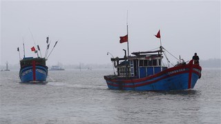 Bốn thuyền viên mê man, nguy kịch khi chui xuống hầm cá