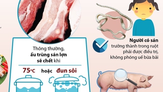 Làm gì để phòng chống bệnh sán lợn?