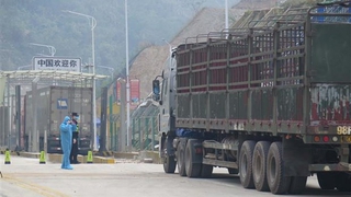 Dịch COVID-19: Lượng hàng chờ xuất khẩu tại cửa khẩu ngày càng tăng