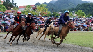 Giải đua ngựa Bắc Hà lễ hội văn hóa đặc sắc vùng Tây Bắc