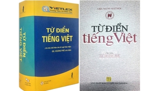 Thế nào là từ mới tiếng Việt?