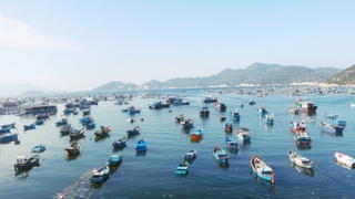 Khánh Hòa: Không tổ chức các hoạt động du lịch tại hai đảo Bình Ba và Bình Hưng