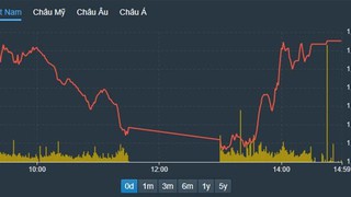 Chứng khoán 17/10: Cổ phiếu dầu khí ngược dòng tăng mạnh