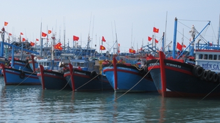 Các tỉnh, thành phố từ Quảng Ninh đến Khánh Hòa chủ động ứng phó với áp thấp nhiệt đới