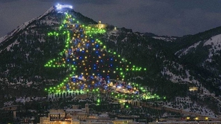 Giáng sinh 2020: Chiêm ngưỡng những cây thông Noel ấn tượng trên thế giới