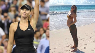 Sharapova mang thai con đầu lòng