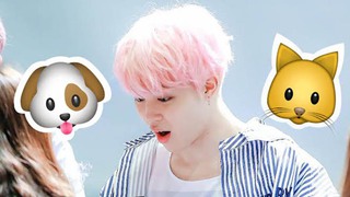 Tại sao Jimin BTS có biệt danh là ‘Puppy Kitty’?