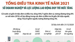 Tổng điều tra kinh tế năm 2021: Số doanh nghiệp và lực lượng lao động duy trì mức tăng