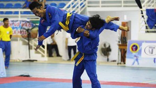 TP.HCM lại thống trị giải vovinam vô địch quốc gia 2017