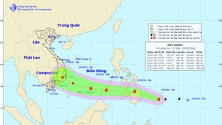 Bão Sanba giật cấp 10 tiến vào Biển Đông, TP.HCM chủ động phương án ứng phó bão